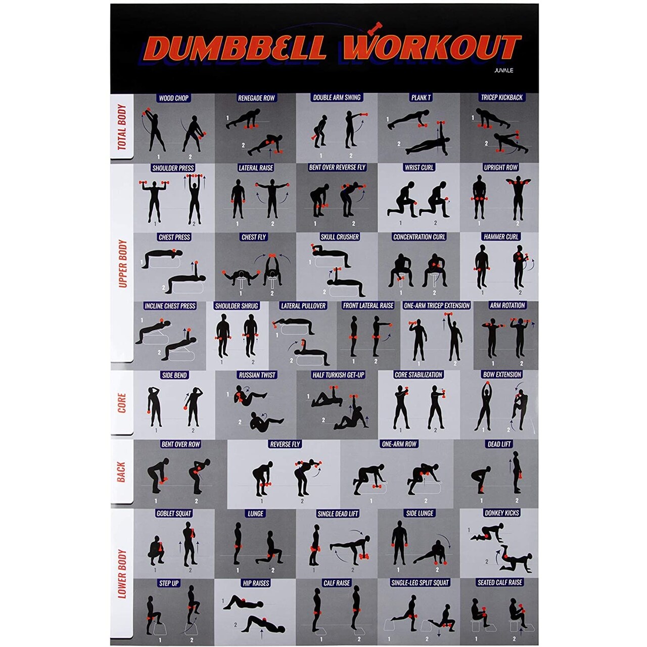 Workout Poster - Dumbbell Exercise Poster Laminated, Free Weight Strength Training Chart, Fitness Guide for Home Gym Weightlifting Routine, Effective Strength Building Exercises, 20 x 30 Inches